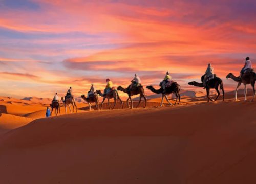 Caravane chameaux